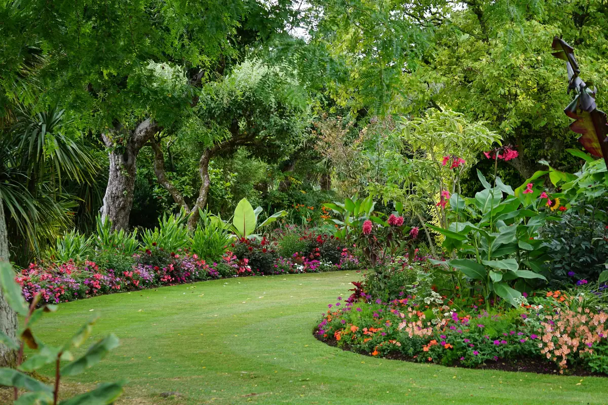 Curving lawn edged with flower beds and tropical plants