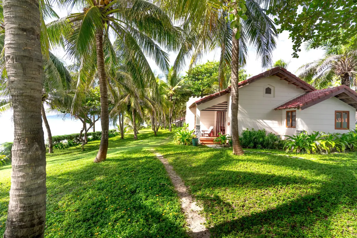 Mown lawn under coconut palms beside a small house