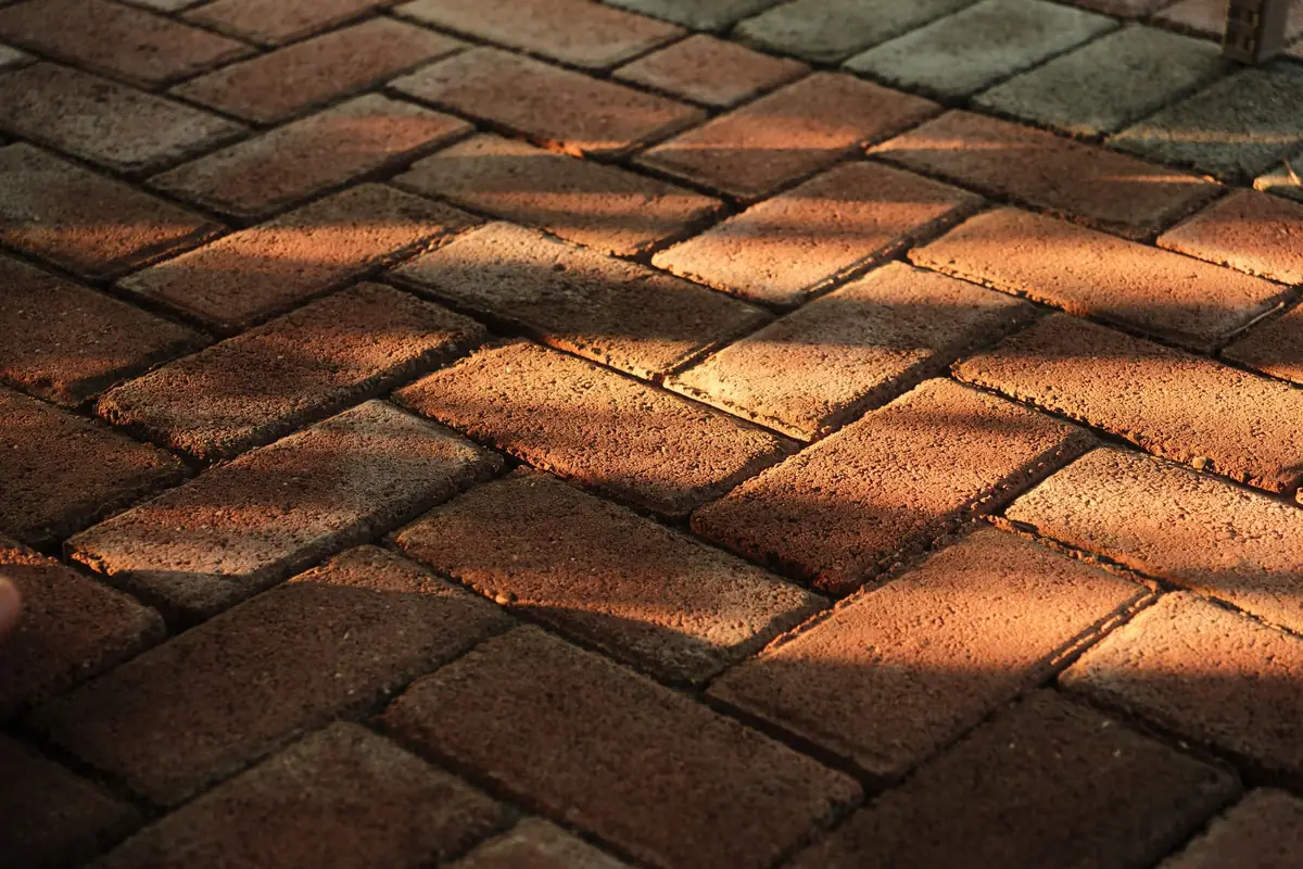 Herringbone brick pavers in low afternoon light